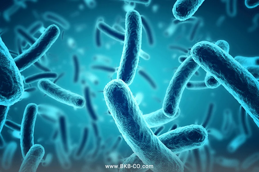 تاثیرات ترکیبات پروبیوتیک
