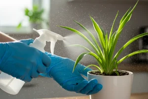 ضد عفونی کردن گلدان